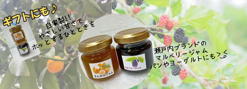 ミニジャムマルベリー