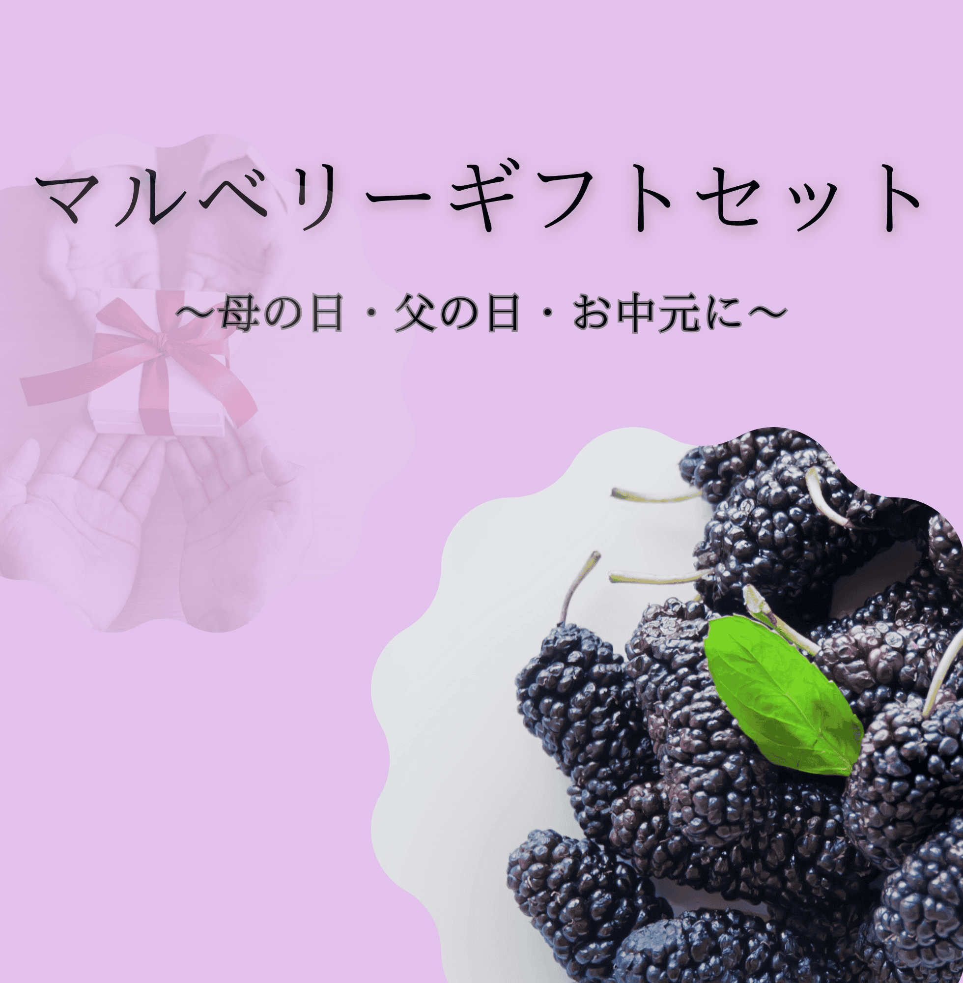 桑の実ギフト